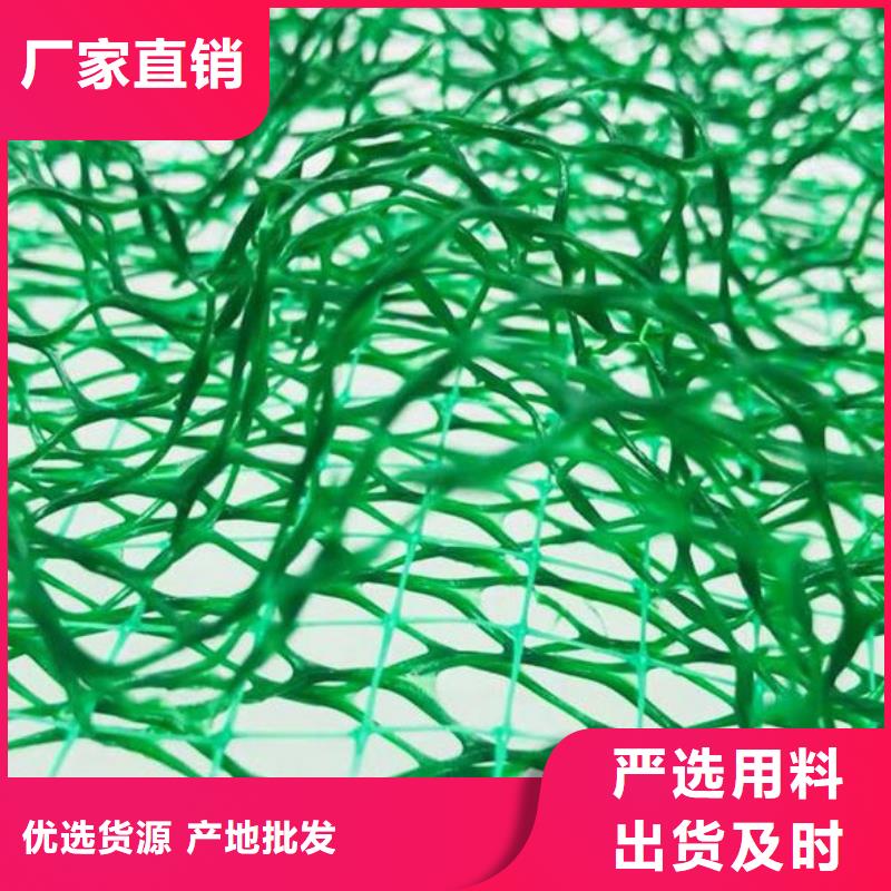 三维植被网,排水板闪电发货