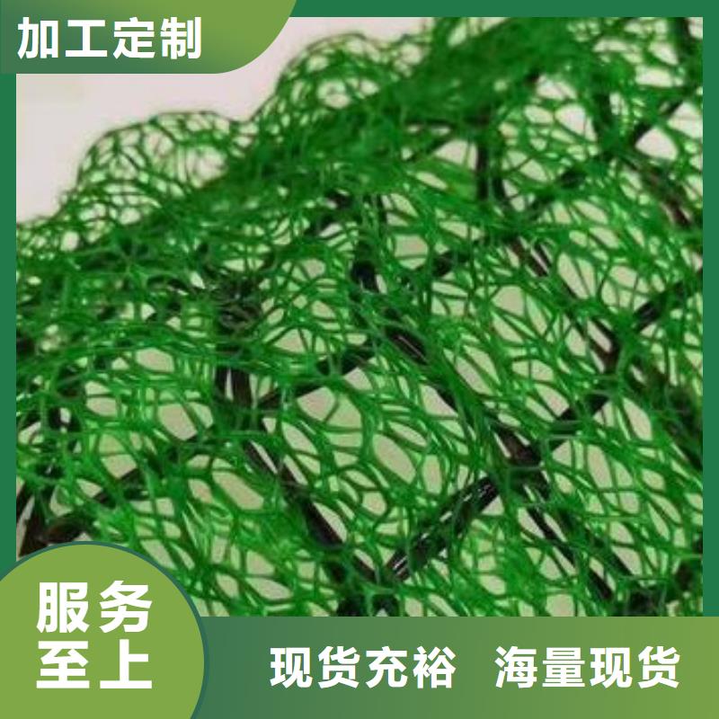 【 三维植被网,防护虹吸排水收集系统厂家批发价】当地制造商