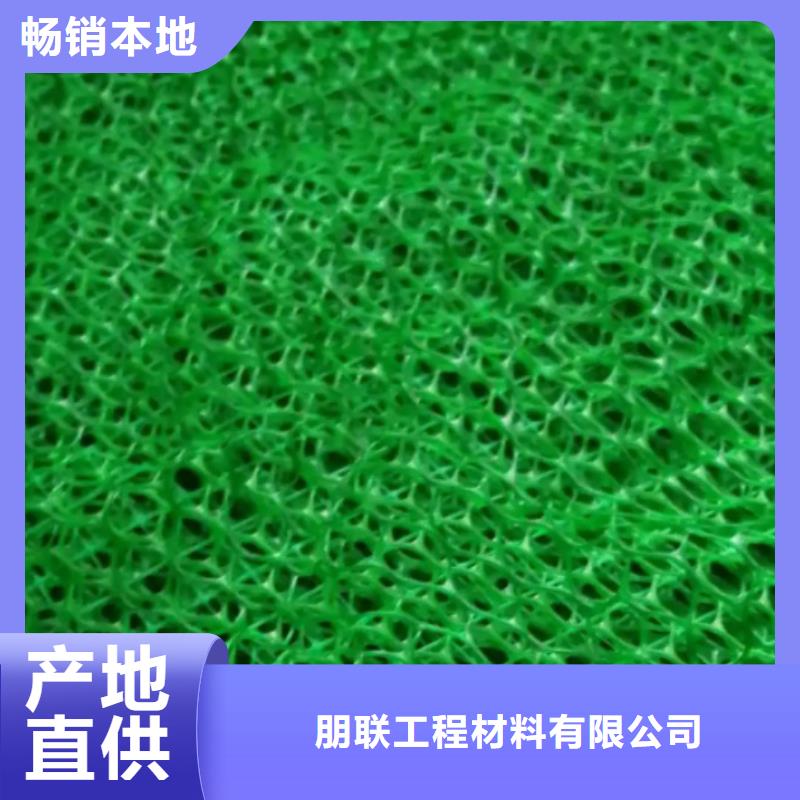 【 三维植被网,防护虹吸排水收集系统厂家批发价】当地制造商