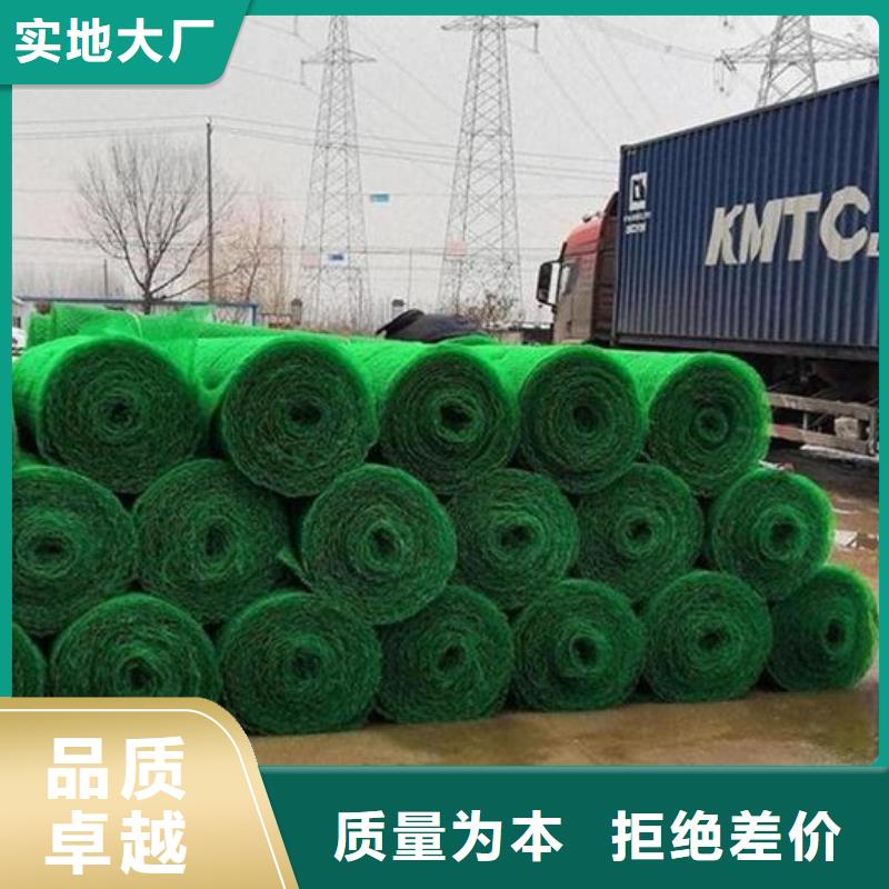 三维土工网垫-本地供货商