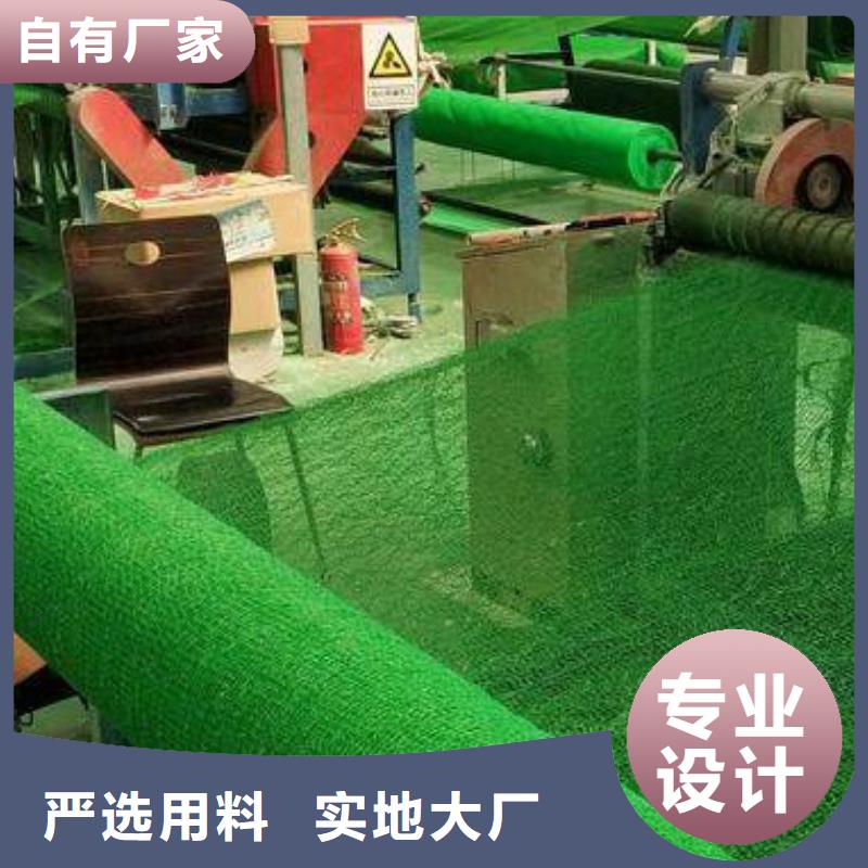 三维植被网植草格品质优良