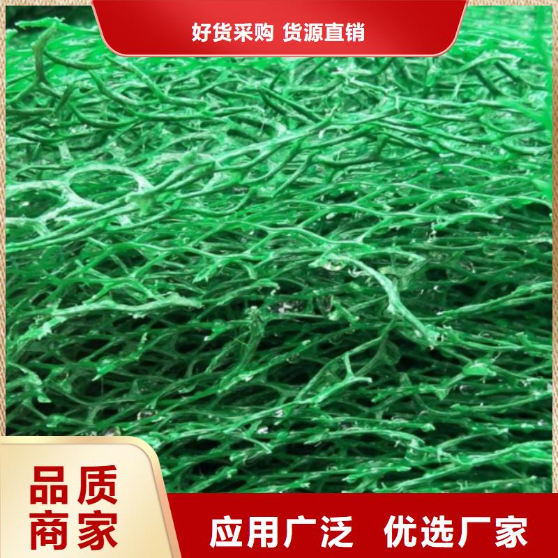 【三维植被网】,车库虹吸排水系统 严选好货-市场覆盖|泰宁|尤溪|漳州|龙岩|莆田|南平|厦门|泉州|福州-二八商务