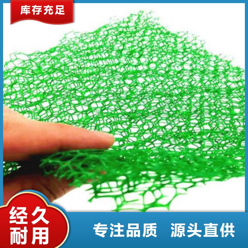 三维植被网植草格品质优良