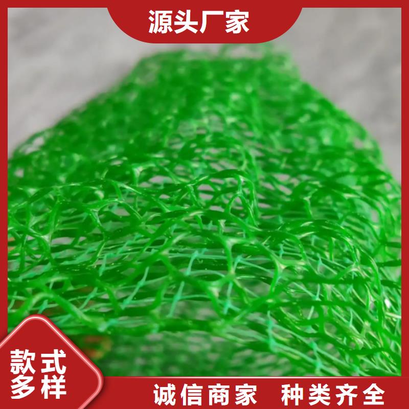 【三维植被网】,车库虹吸排水系统 严选好货-市场覆盖|泰宁|尤溪|漳州|龙岩|莆田|南平|厦门|泉州|福州-二八商务