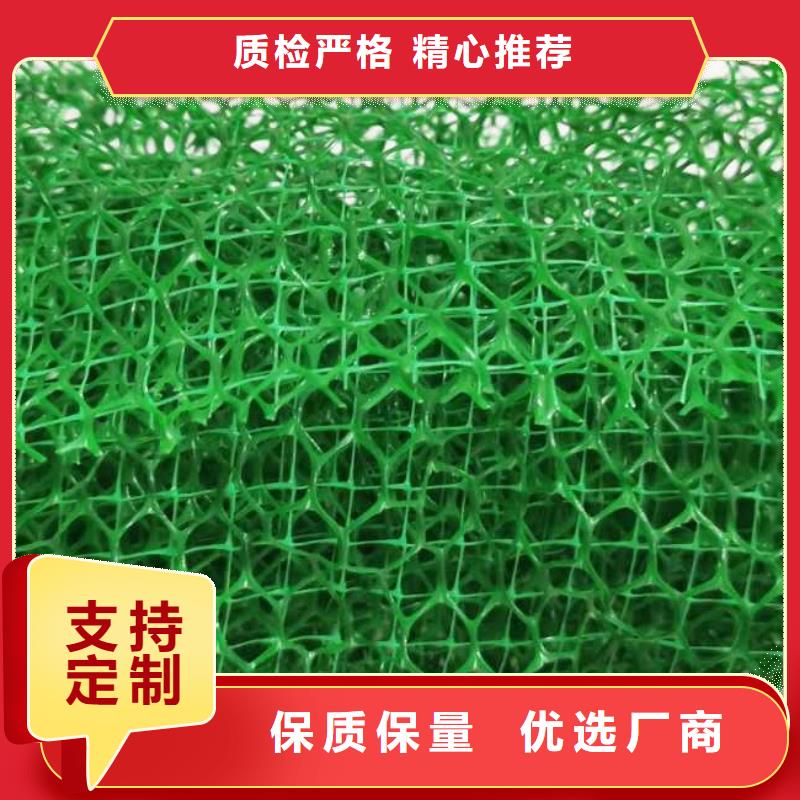 三维植被网植草格厂家十分靠谱