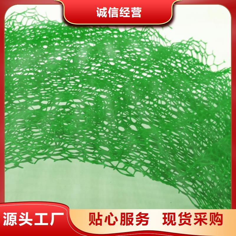 三维植被网水泥化粪池一站式供应