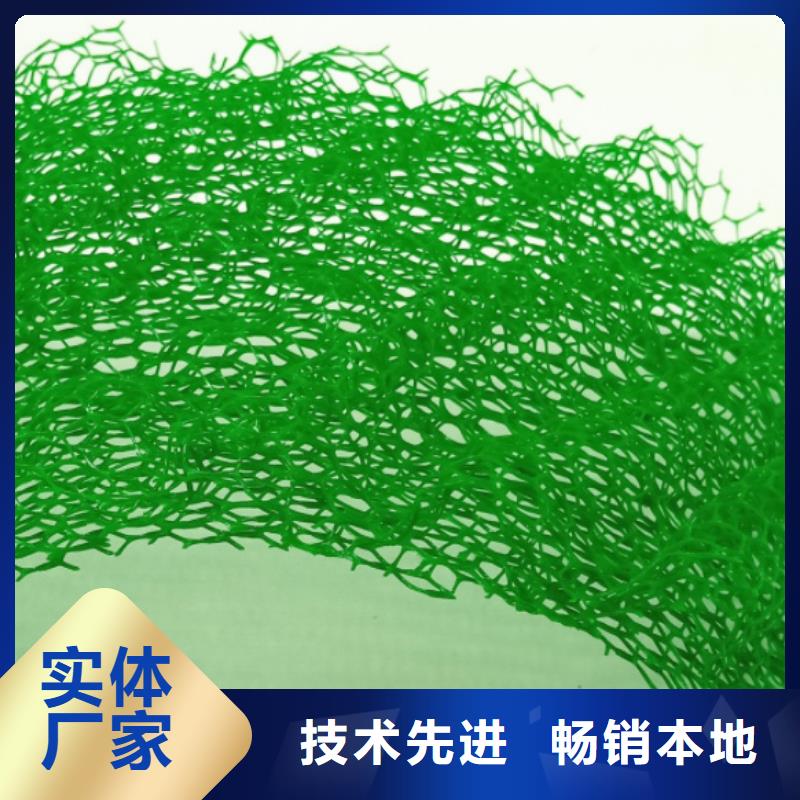 【三维植被网】,车库虹吸排水系统 严选好货-市场覆盖|泰宁|尤溪|漳州|龙岩|莆田|南平|厦门|泉州|福州-二八商务