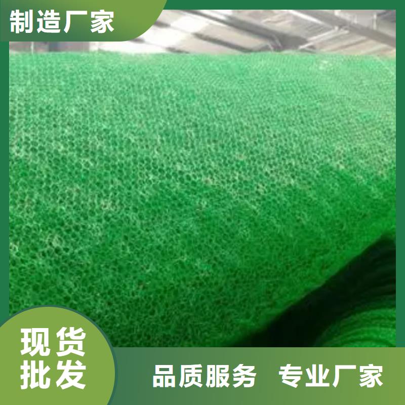 【 三维植被网,防护虹吸排水收集系统厂家批发价】当地制造商