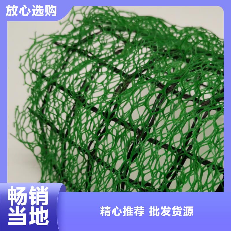 三维植被网植草格品质优良