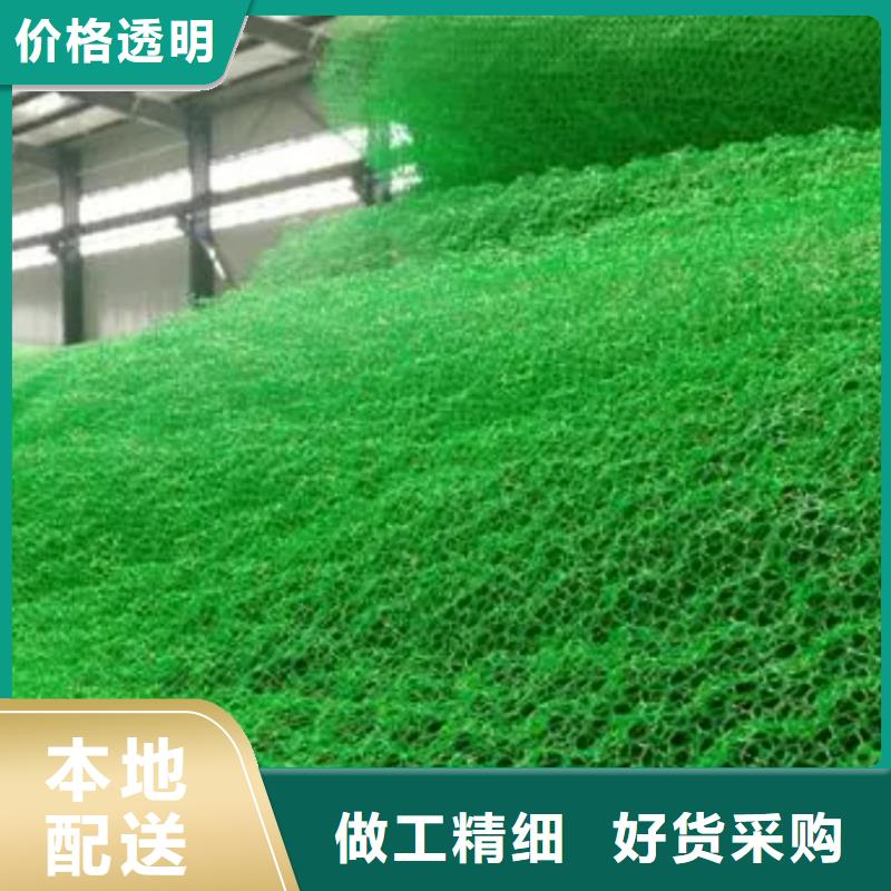【三维植被网】植草格现货直发