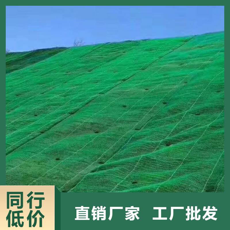 三维植被网车库虹吸排水系统库存量大
