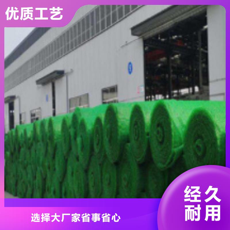 三维植被网,排水板闪电发货