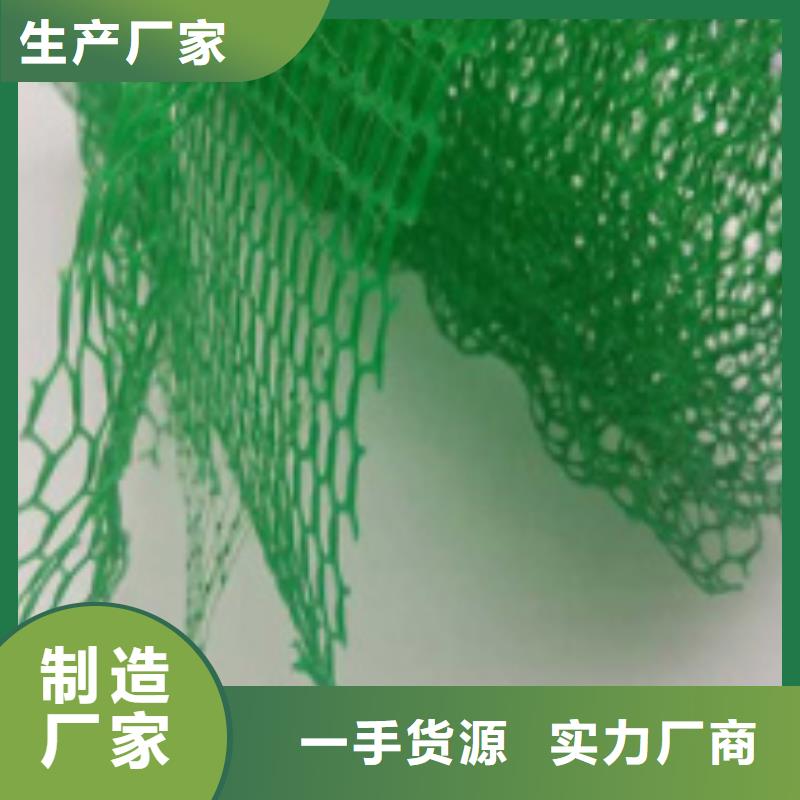 三维植被网水泥化粪池诚信经营