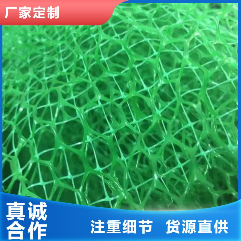 三维植被网_防护虹吸排水收集系统工艺层层把关