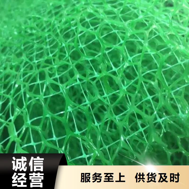 【 三维植被网,防护虹吸排水收集系统厂家批发价】当地制造商