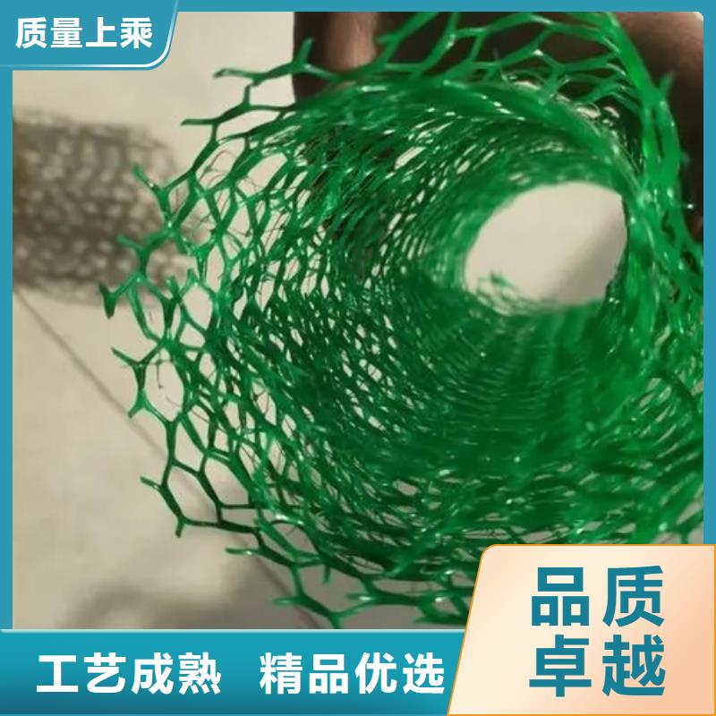 三维植被网排水板质量三包