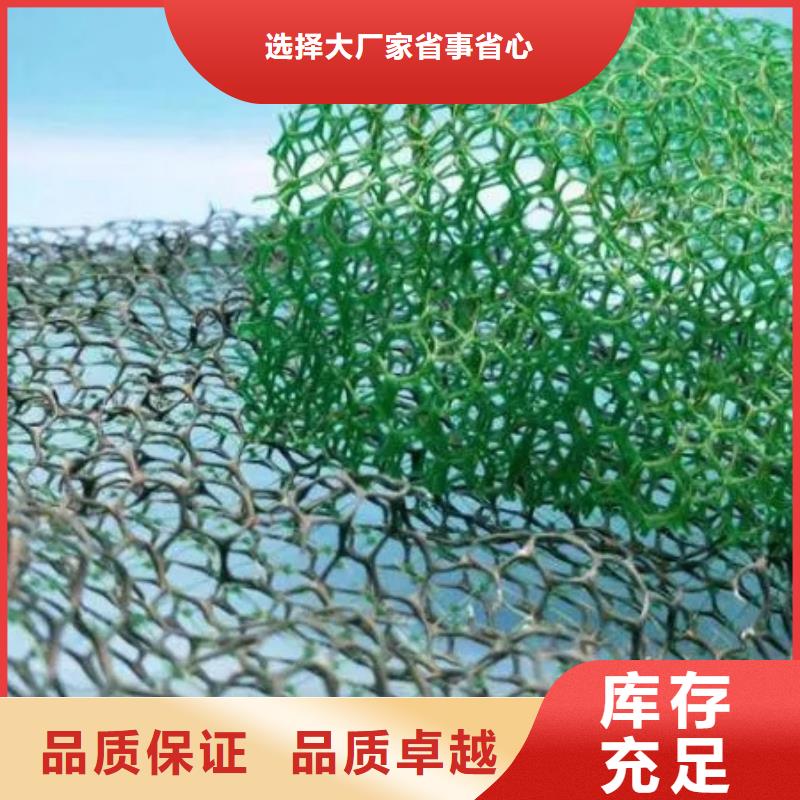 三维土工网垫-本地供货商