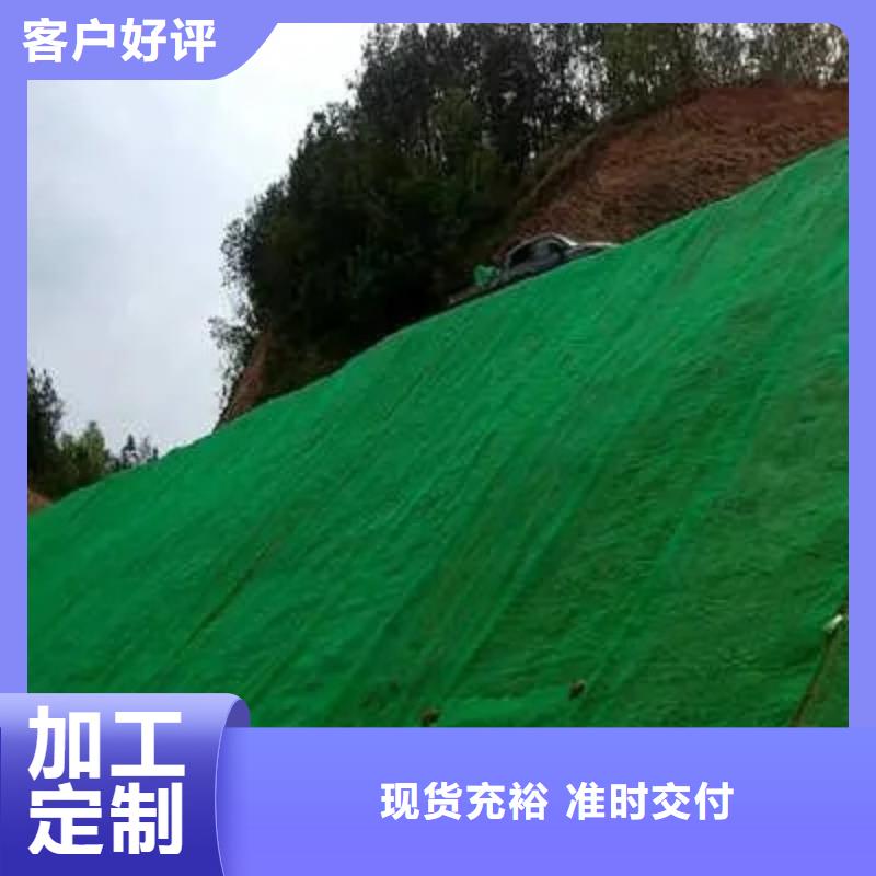 三维植被网水泥化粪池免费询价