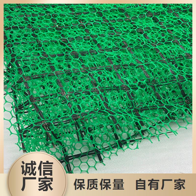 三维植被网植草格专注细节专注品质