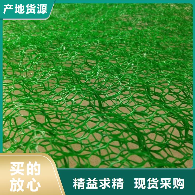三维植被网排水板质量三包