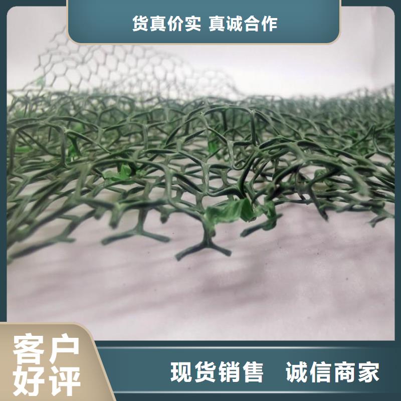 甄选:畅销本地【三维植被网】,车库虹吸排水系统 严选好货