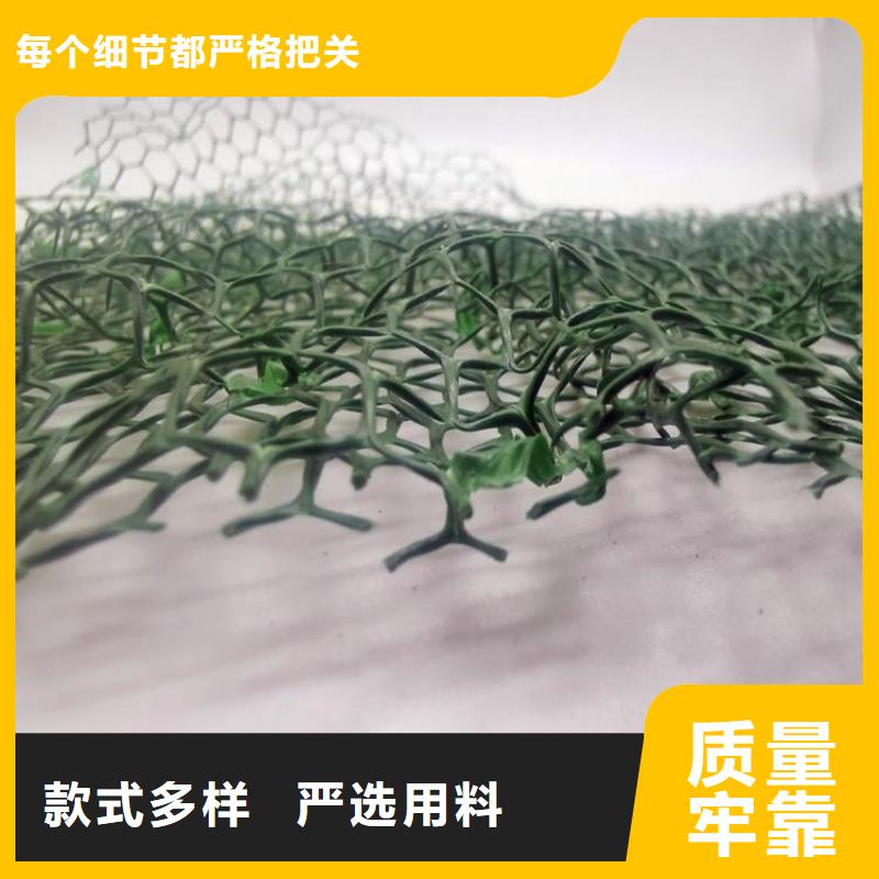 三维植被网排水板质量三包