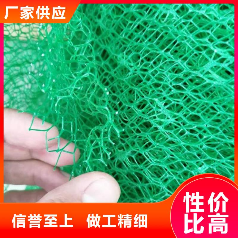 【三维植被网】,车库虹吸排水系统 严选好货-市场覆盖|泰宁|尤溪|漳州|龙岩|莆田|南平|厦门|泉州|福州-二八商务