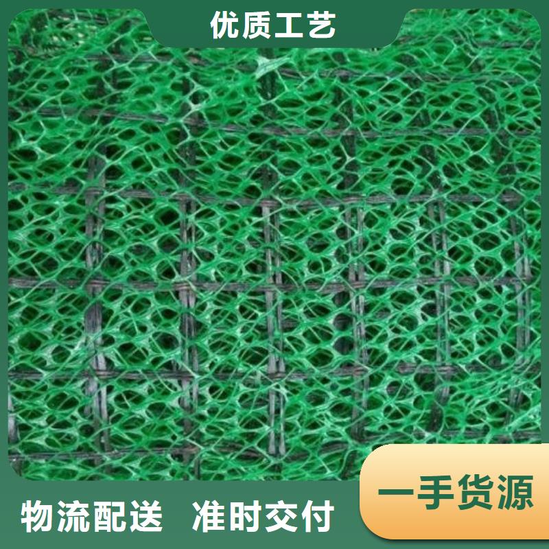 三维土工网垫-本地供货商
