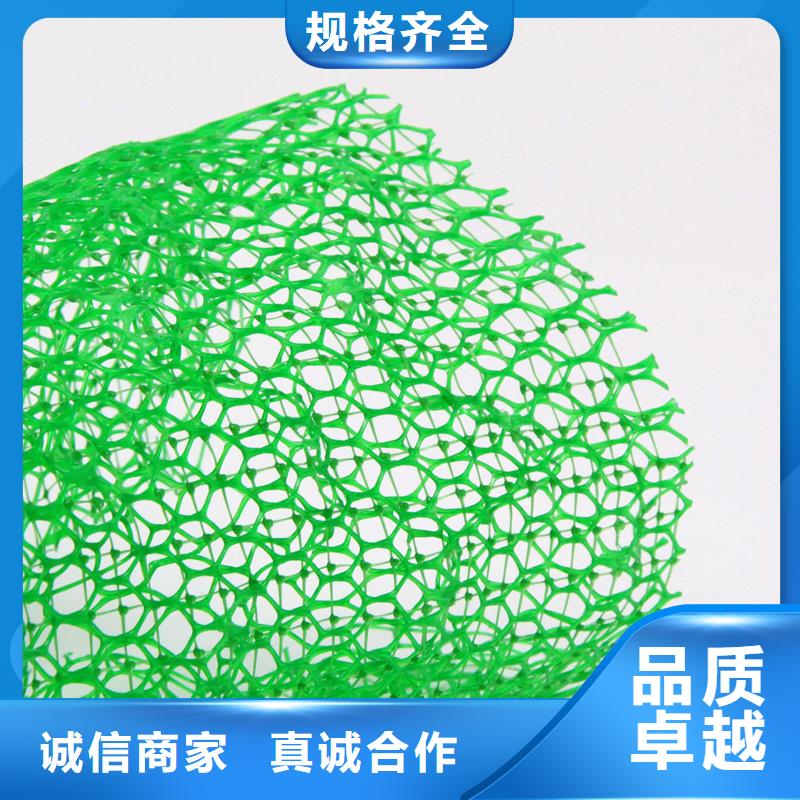 【三维植被网】,车库虹吸排水系统 严选好货-市场覆盖|泰宁|尤溪|漳州|龙岩|莆田|南平|厦门|泉州|福州-二八商务
