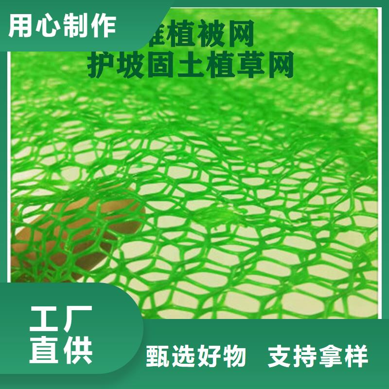 三维植被网车库虹吸排水系统品牌专营