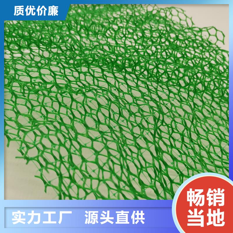 【三维植被网】,车库虹吸排水系统 严选好货-市场覆盖|泰宁|尤溪|漳州|龙岩|莆田|南平|厦门|泉州|福州-二八商务
