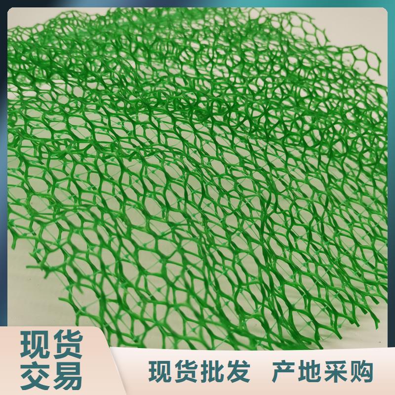 三维植被网植草格厂家十分靠谱