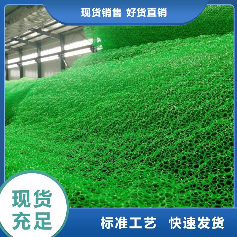 三维植被网植草格厂家十分靠谱