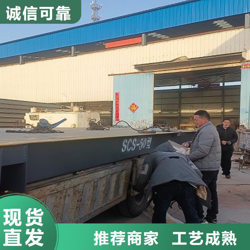 地磅,吊钩秤仪表货源直供
