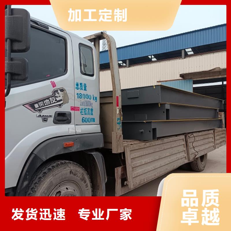 地磅防爆地磅多年行业经验