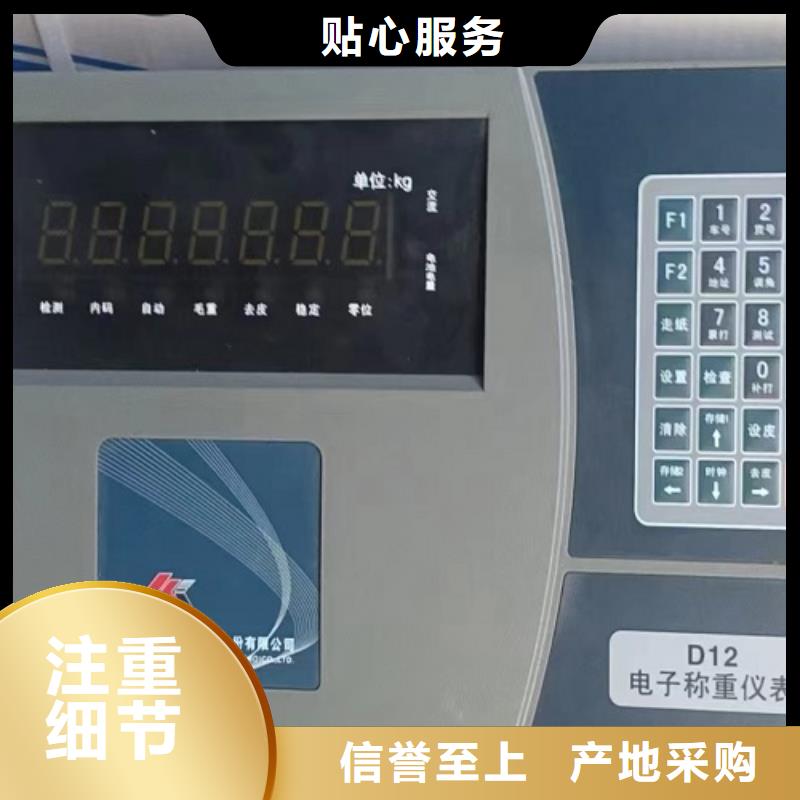 电子地磅【无线电子吊秤】产地采购