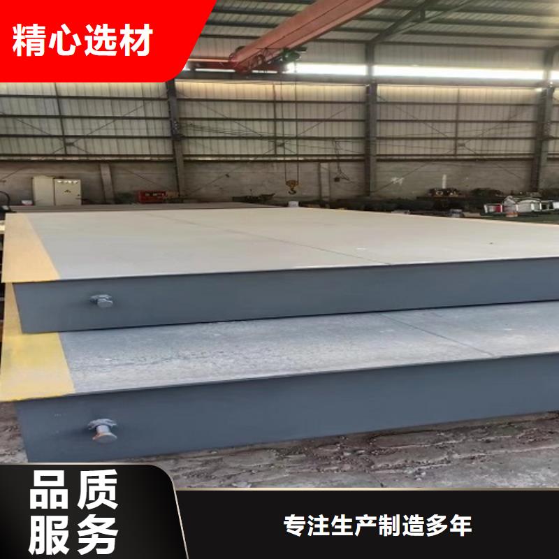 电子地磅地磅款式新颖