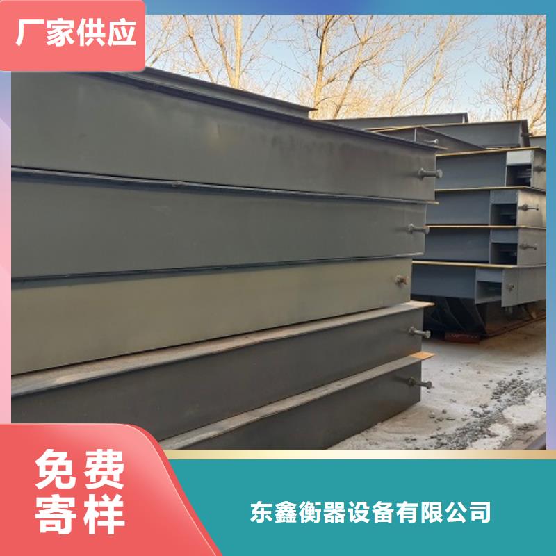 电子地磅 地磅您想要的我们都有