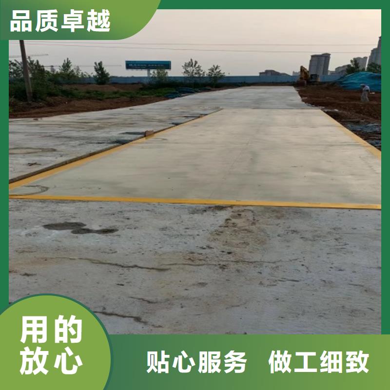 电子地磅电子衡器一站式采购
