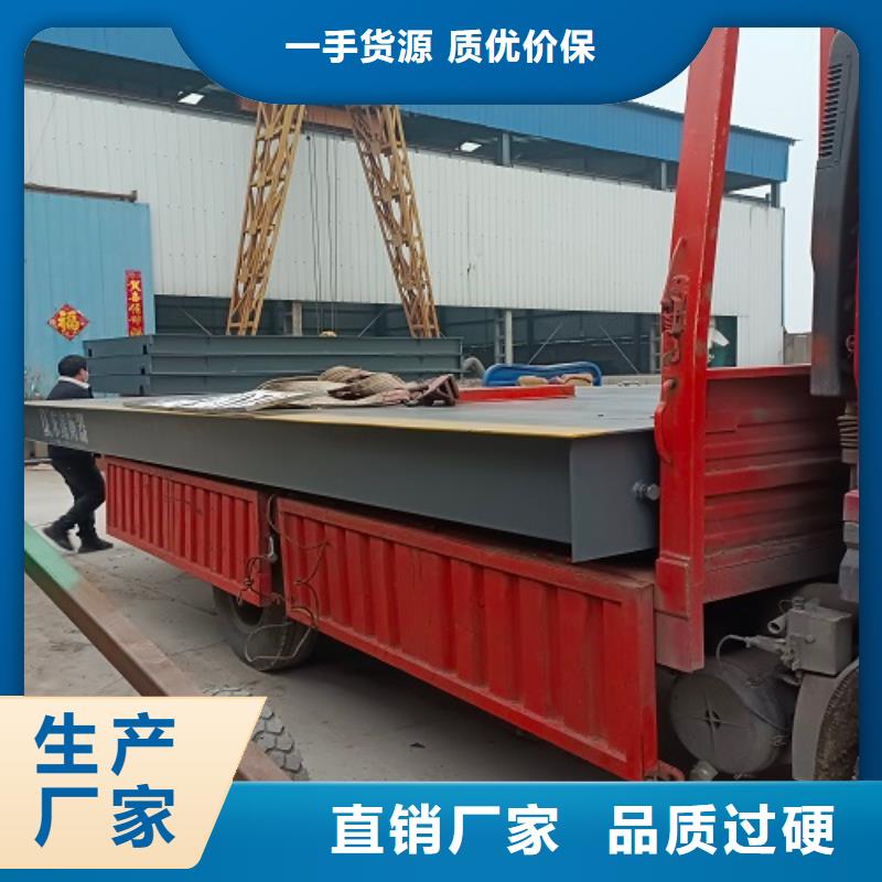 东鑫电子衡器电子地磅_【吊钩秤仪表】用心制造28354.com