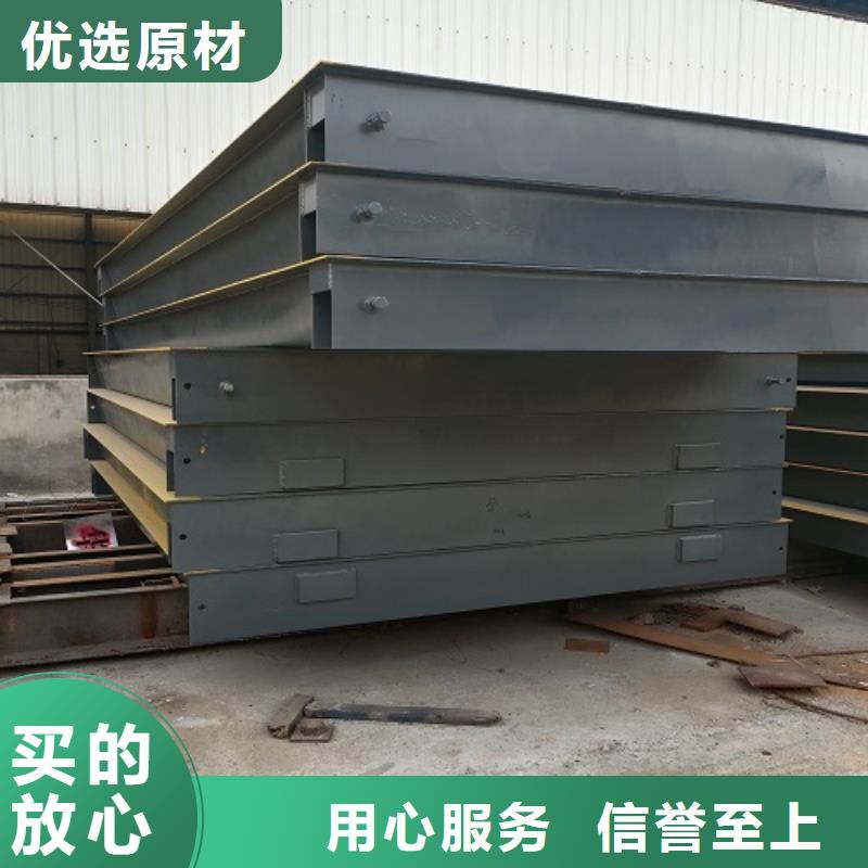 电子地磅工地洗车机多年行业经验