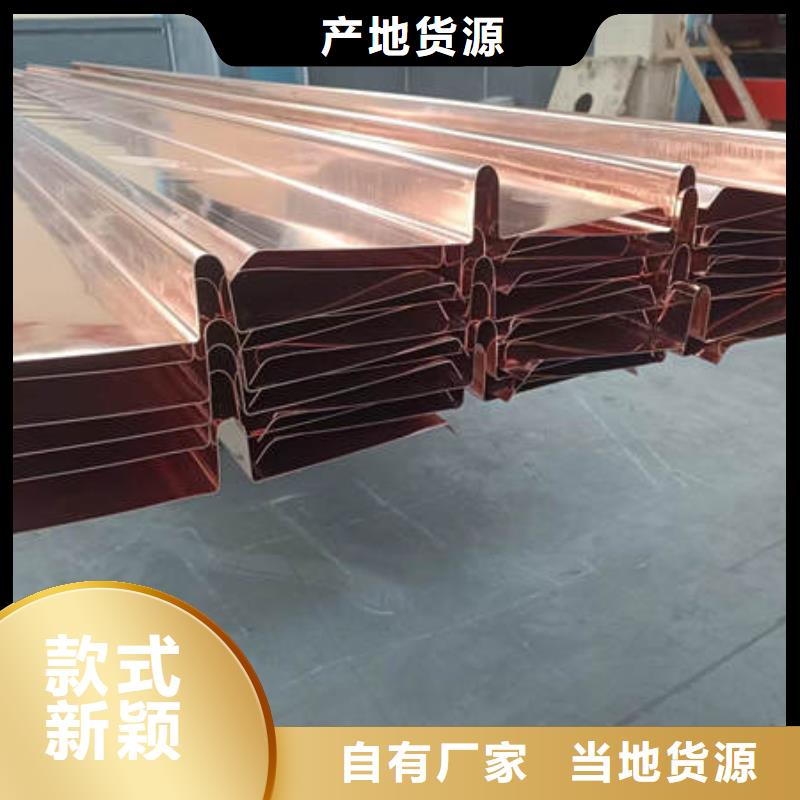 南水镇W型止水铜片实体大厂