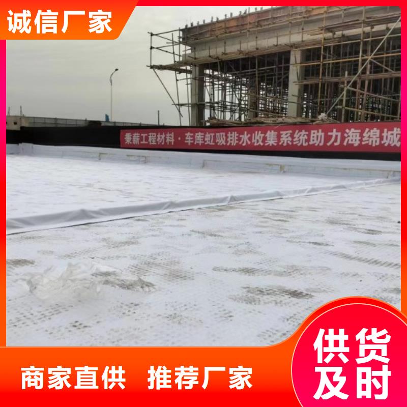 排水板塑料排水板质量安心