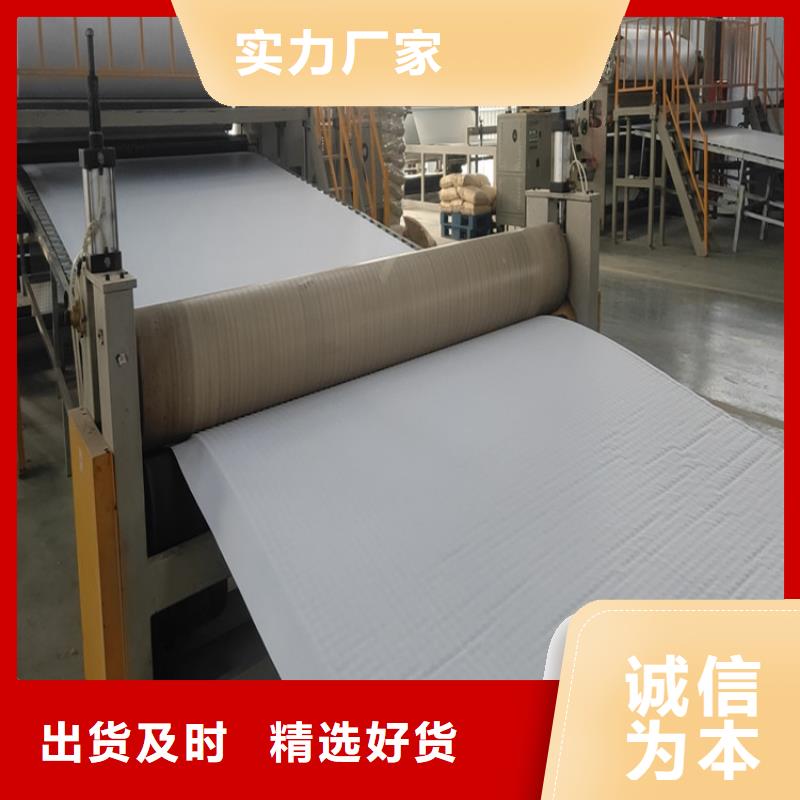 排水板,土工膜买的放心安兴用的舒心