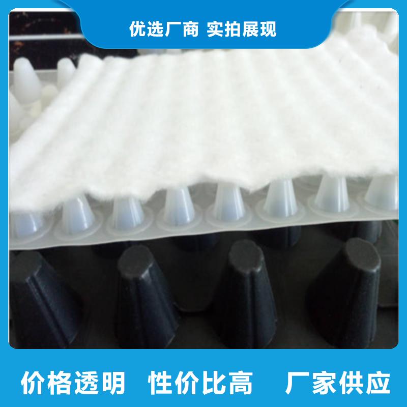 【 排水板塑料排水板源厂直接供货】-服务区域包括惠东|惠城|潮州|汕头|东莞|广州|汕尾|河源|佛山等-产品视频