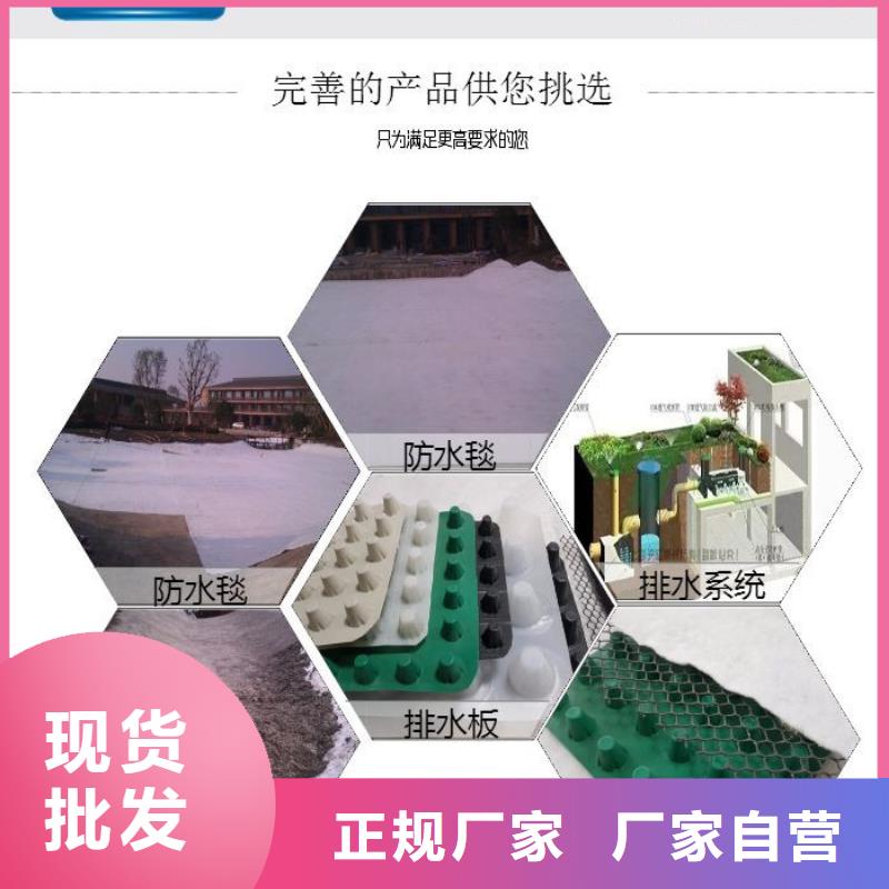 排水板塑料排水板质量安心