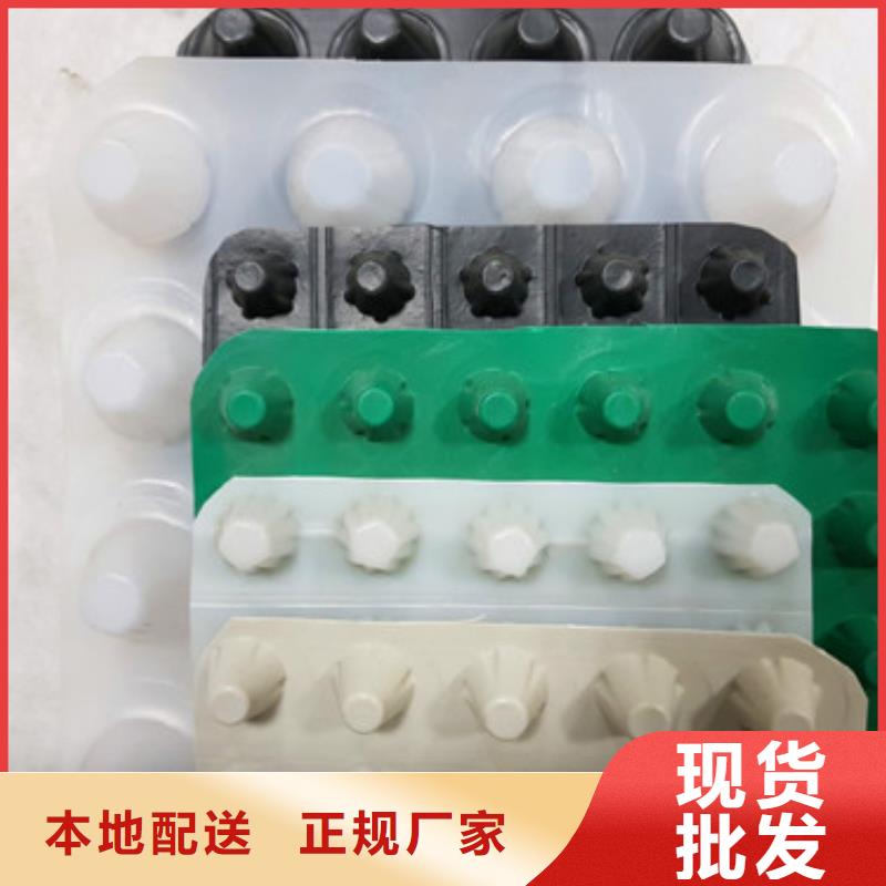 排水板塑料排水板质量安心