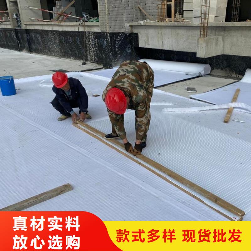 【 排水板塑料排水板源厂直接供货】-服务区域包括惠东|惠城|潮州|汕头|东莞|广州|汕尾|河源|佛山等-产品视频