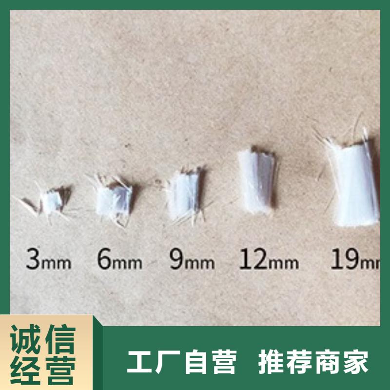 聚丙烯网状纤维厂家现货厂家直销
