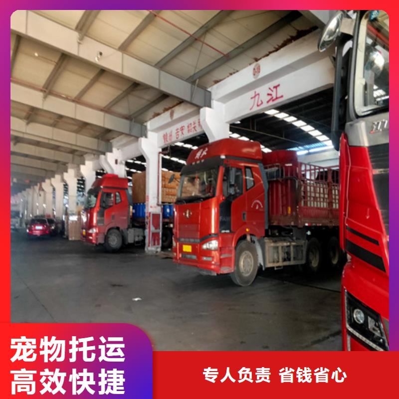 【 专线-上海到物流回程车运输报价】